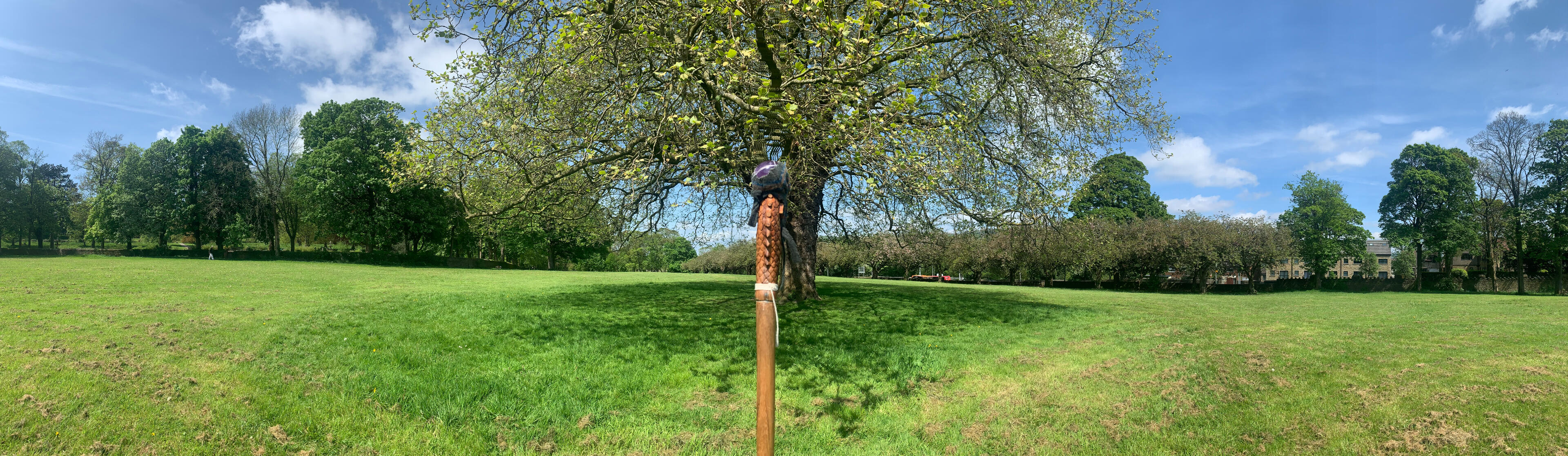 TAIAHA LEMURIA NEW LIGHT 5-PLANET